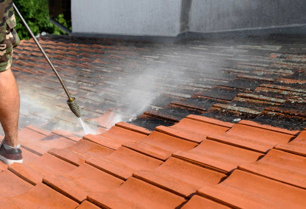 Best Deck Cleaning Services  in Freeman, SD