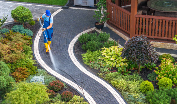 Best Power Washing Near Me  in Freeman, SD